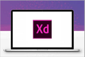 Adobe XD 2023 v56.1.1官方简体中文版安装包完整版下载